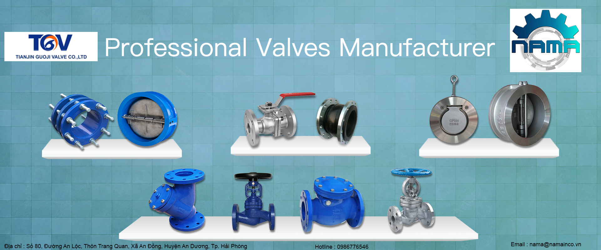 Tianjin Guoji Valve